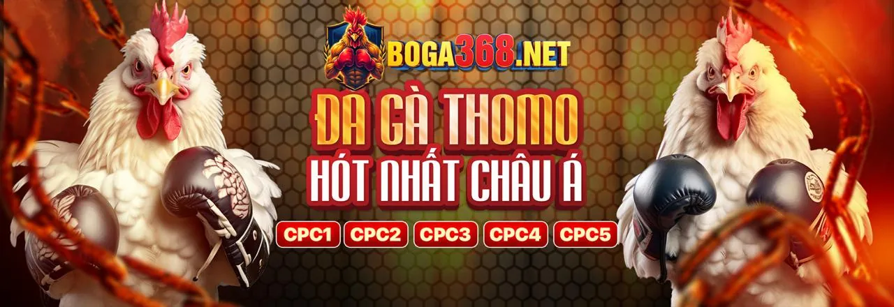 Đá gà trực tuyến 188bet 250